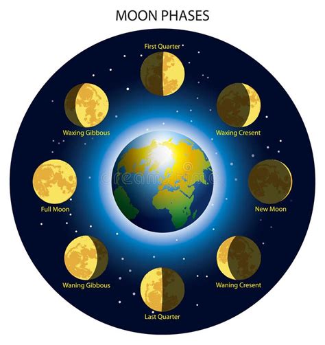 De Fasen Van De Maan Stock Illustratie Illustratie Bestaande Uit Aarde