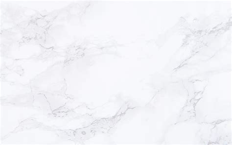 Free White Background Images Wallpapers