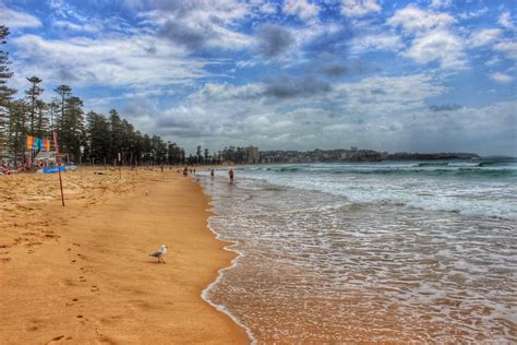 5 Reasons Why Manly Beach Is One Of The Best Beaches In Sydney