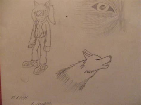 Random Sketches By Shadethewolf65 On Deviantart