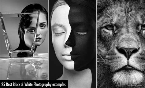 30 Mind Blowing Black And White Photography Examples Part 2