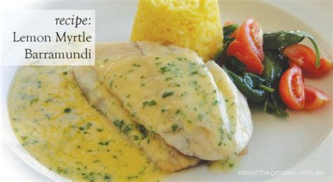 (18 images) barbecued barramundi with macadamia romesco. Fish Dish | Creamy Sauce | Spring Entertaining | About The ...