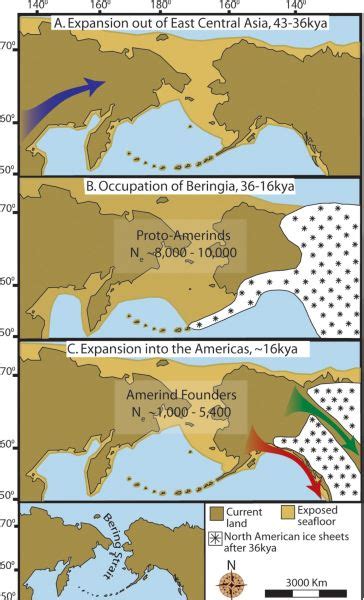 Prehistoric Settlement Of The Americas And Native Migration
