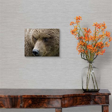 Close Up Portrait Of A Brown Bear In Canvas Wall Art Print Bear Home
