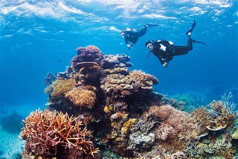 10 Ways To Do The Great Barrier Reef In The Whitsundays