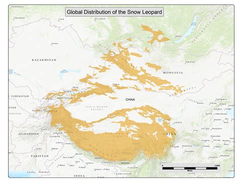 The Snow Leopards Range Snow Leopard Conservancy