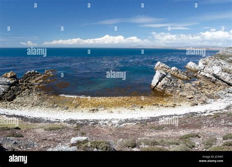 View Of Pebble Island Falkland Islands Stock Photo Alamy