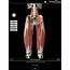 3D Muscular Premium Anatomy For IPad Pushes Boundary Apps