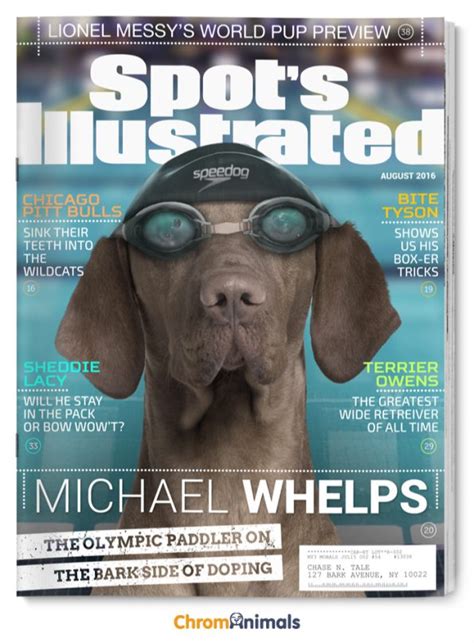 Popular Magazines Reimagined As Dog Magazines
