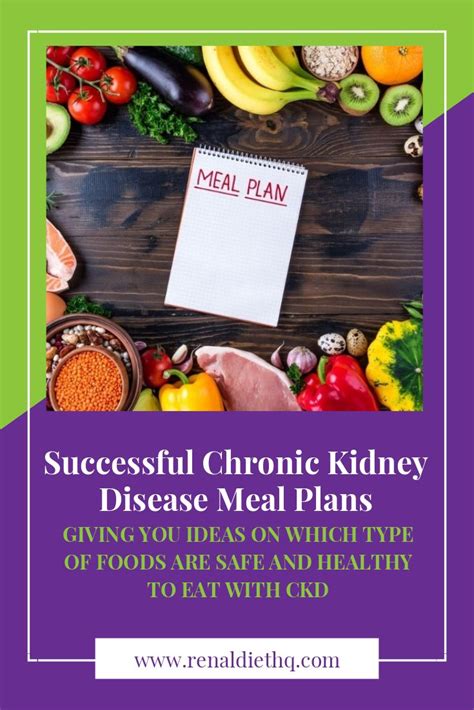 Successful Chronic Kidney Disease Meal Plans Renal Diet Menu