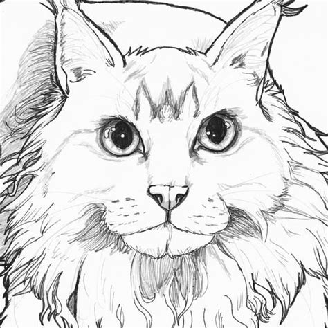 What i ended up using is actually a mobile app called colorscape and successfully converted the colorful eevee evolving picture to a coloring page my daughter eventually enjoyed coloring. Printable Custom Coloring Page, Turn Your Photo Into a ...