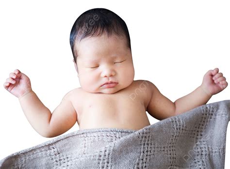 Bebé Recién Nacido Png Neonatal Niño Bebé Png Imagen Para Descarga