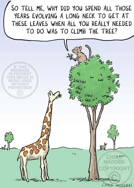 Evolution Of The Giraffes Neck Biology Jokes Evolution Science