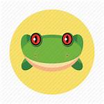 Icon Frog Amphibians Animal Children Icons Editor