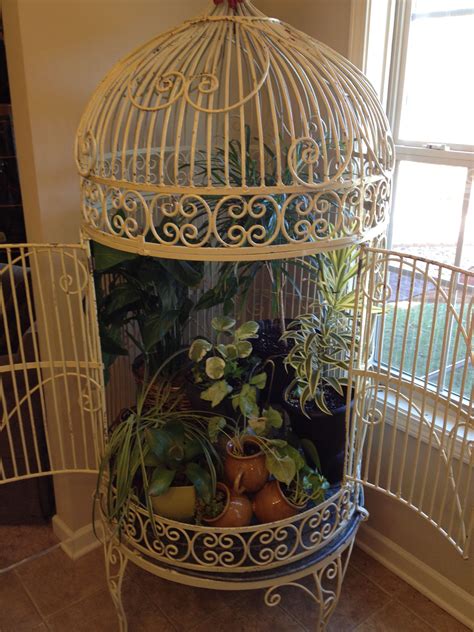 Plants In A Bird Cage My Husband Thought I Was Crazy When I Brought