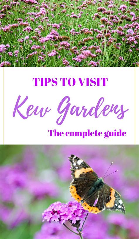 Everything you need to know about visiting Kew Gardens in London | Kew