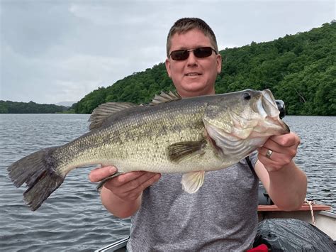 Largemouth Bass Identification Behavior Basics And Best Lures And