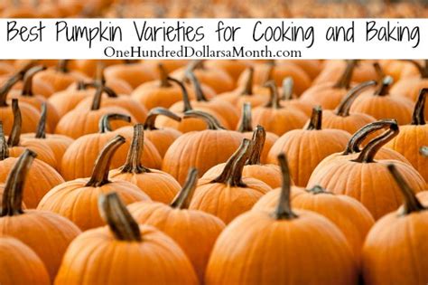 Best Pumpkin Varieties For Cooking And Baking One