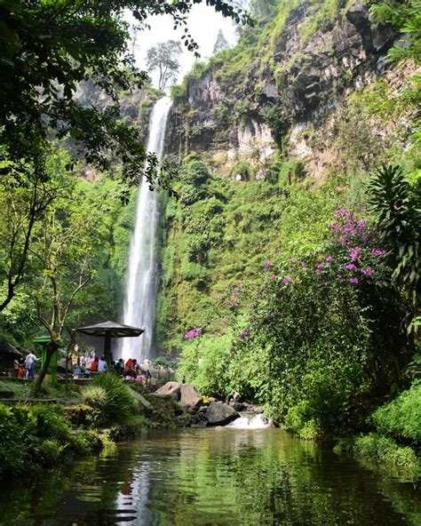 Mengenal Keindahan Wisata Alam Air Terjun Coban Rondo Rivawidyatrans