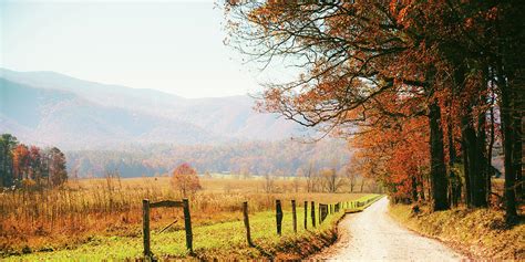 Autumn Country Road In The Forest Photograph By Moreiso Fine Art America