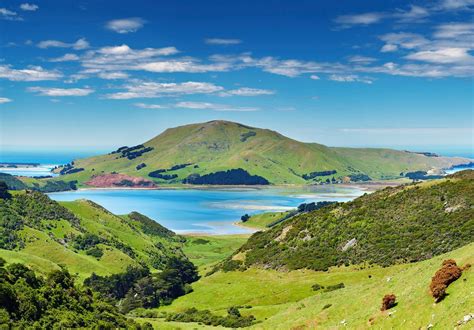 Otago Peninsula Kiwitrotter