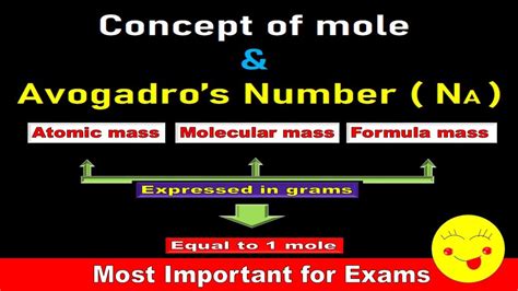 Avogadro S Number And Mole Mole Definition Class Chemistry
