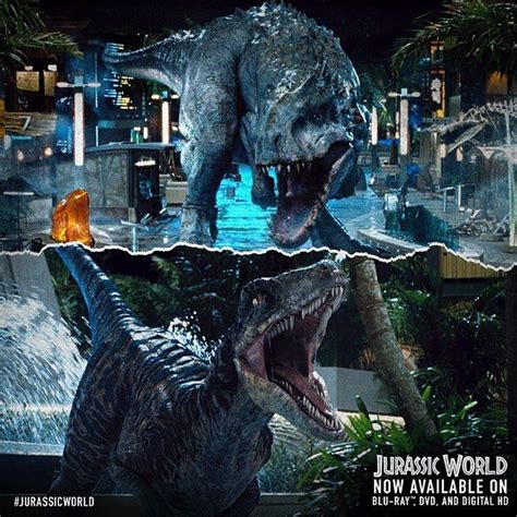 Jurassic World The Fan 🌴 On Instagram “echo Trying To Fight With