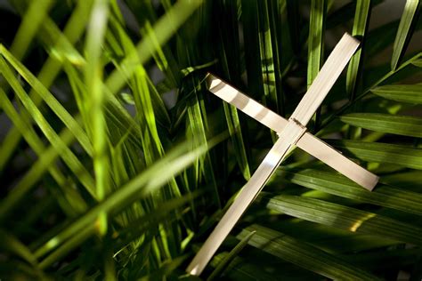 Palm sunday old rugged cross in our church sanctuary. Palm Sunday: Welcome Jesus