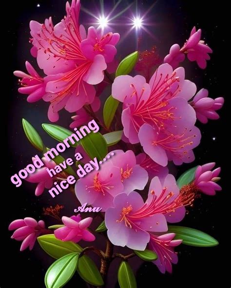 Pin By Anupama On Good Morning Good Morning Wishes Good Morning