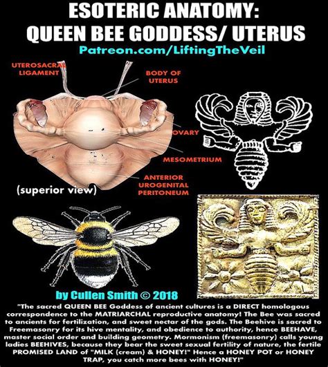 Esoteric Anatomy Discovered In Ancient Goddess Symbolism Lifting The