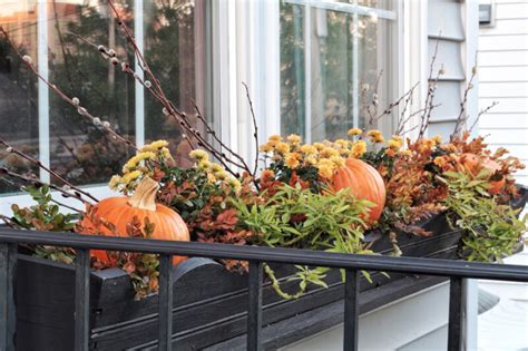 35 Fall Container Gardening Ideas For 2024 Photos And Tips