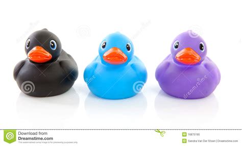 Three Colorful Rubber Ducks Stock Photo Image Of Play Bath 16875190