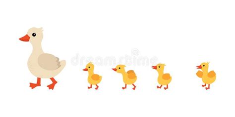 Mother Duck And Ducklings Cute Ducklings Walking In A Row Cartoon Illustration A Mother Duck