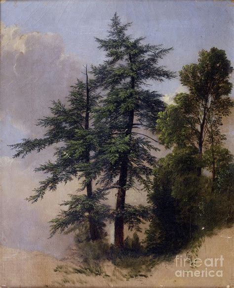 Tree Study Newburgh Ny 1849 Painting By Asher Brown Durand Pixels