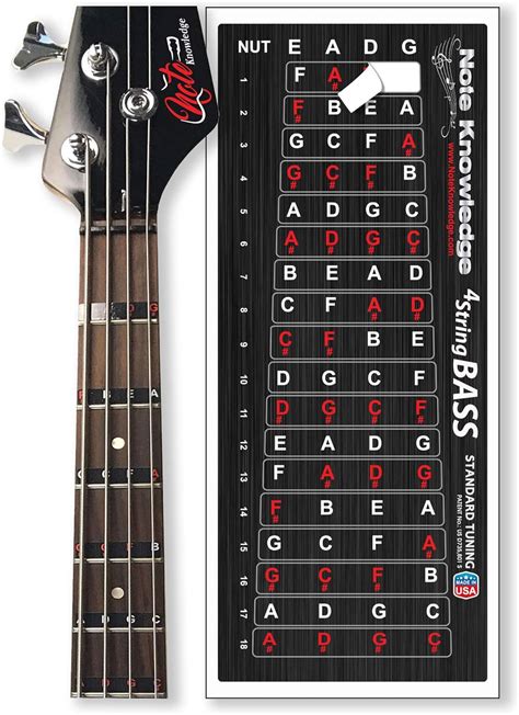 Bass Guitar Fretboard Note Map Decals Stickers For Learning Notes My Xxx Hot Girl