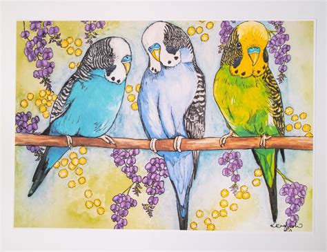 Budgie Print Australian Bird Colourful Wall Art Print Bird Etsy