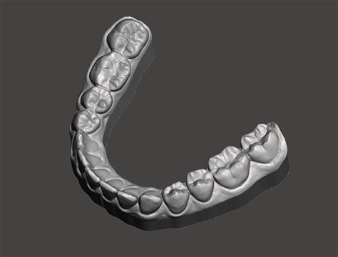 Stl File Dental Models・3d Print Design To Download・cults
