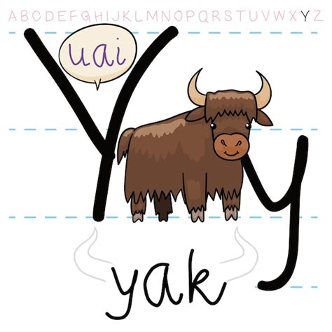 大きな角を持つ毛むくじゃらのヤクがアルファベットと文字「y」の発音を教えます プレミアムベクター