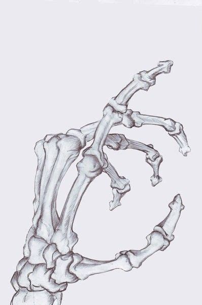 Skeleton Hand Skeleton Drawings Skeleton Art Drawing Bone Drawing