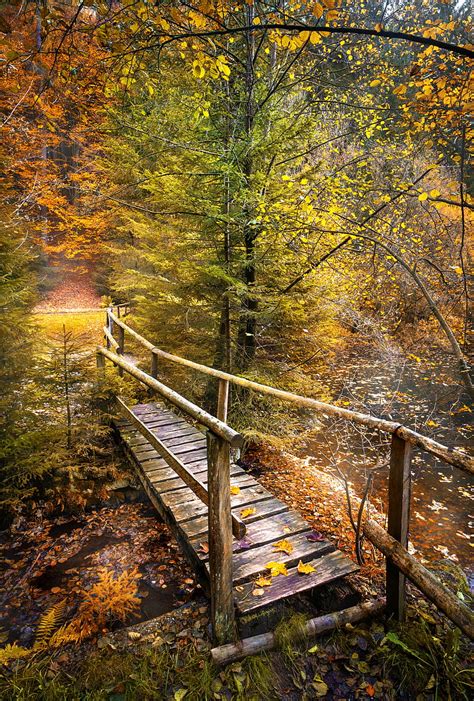 Bridge Forest River Autumn Nature Hd Phone Wallpaper Peakpx