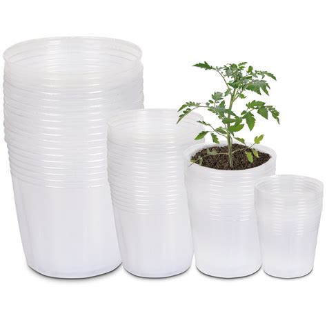 Buy Upins Clear Nursery Pots 40 Packs 3456 Inches Pots With Drainage