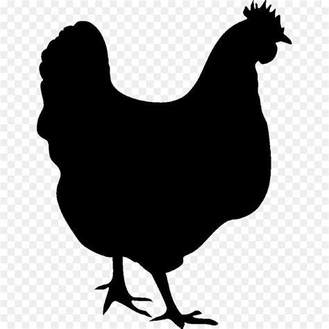 Chicken Silhouette Clipart At Getdrawings Free Download