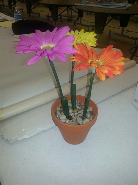 Three flowers in a pot on a table