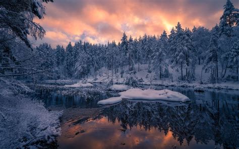 Download Wallpaper Norway Trees Winter Snow Sunset Winter Forest