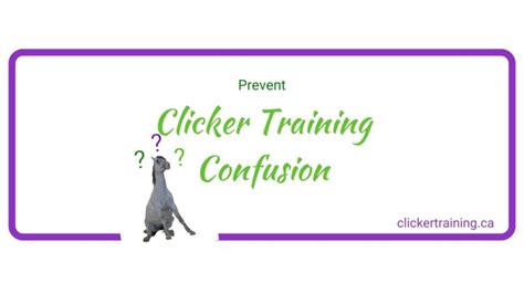 1 Tip To Solve Confusion In Clicker Training Hippologic Clicker