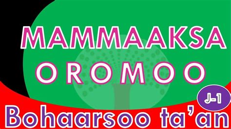Mammaaksa Oromoo Youtube