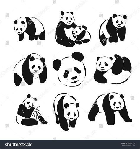 Set Of Vector Panda Silhouettes 374797192 Shutterstock