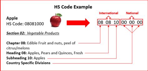 Tariff Classification Guide How To Find The Right Hs Code