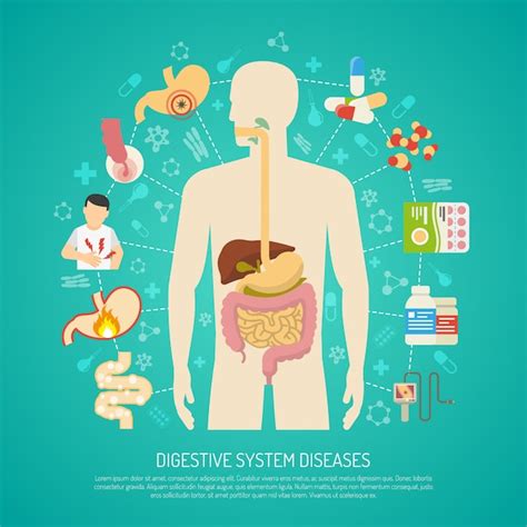 Free Vector Digestive System Diseases Illustration