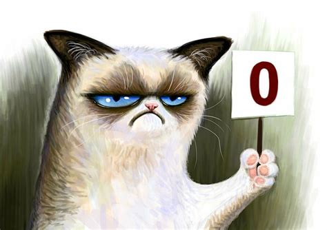 Cat Meme Quote Funny Humor Grumpy Wallpapers Hd De Vrogue Co